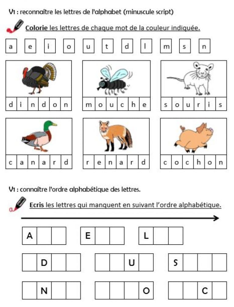 Ranger Des Mots Dans L Ordre Alphabétique Ce1