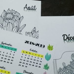 Le BuJo ambiance Cactus