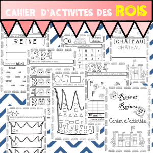 Cahier d’activités des ROIS