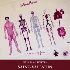 Fiches activités autour de la Saint Valentin