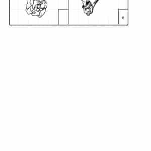 Dictées muettes au CP n°1