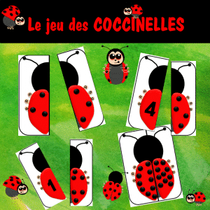 le Jeu des COCCINELLES