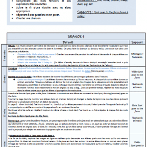 Séance type anglais : Animals