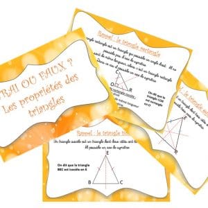 Nature des triangles : vrai ou faux ?