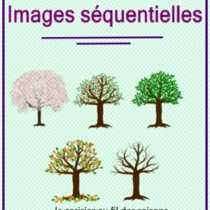 Images séquentielles : reconstituer une histoire