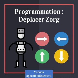 Programmation maternelle et primaire : déplacer Zorg