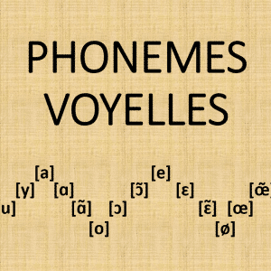 Les phonèmes voyelles