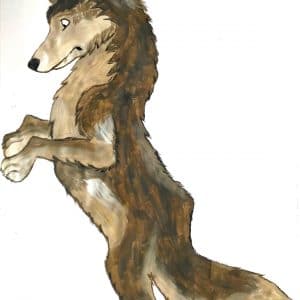 images séquentielles : le loup