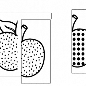 Discrimination visuelle – les pommes