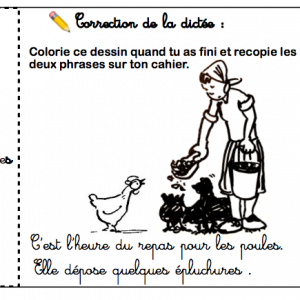 Dictée "La ferme de Madame Chou" suite (épisodes 13 à 24)