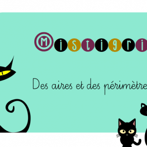 Mistigri des périmètres