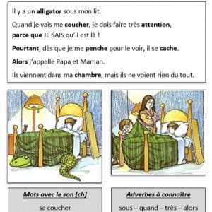 Il y a un alligator sous mon lit