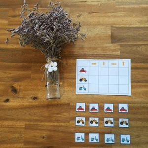 Direction animaux/moyens de locomotions