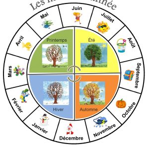 Les mois de l’année (outils)