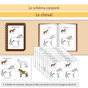 Mon petit dico du cheval (schéma corporel)