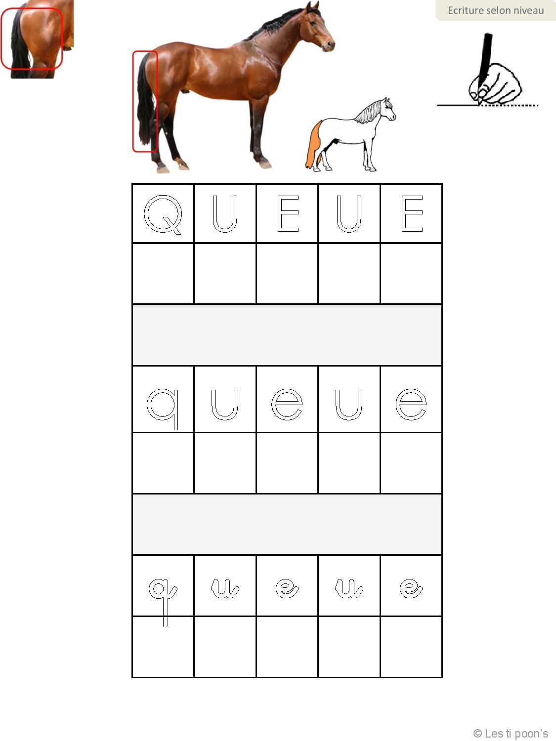 Mots Liés Au Cheval En 7 Lettres Atelier d'écriture sur le cheval (schéma corporel) - Découverte du