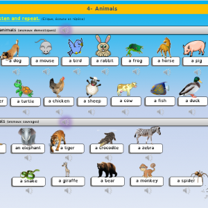 Les animaux - Diaporamas audio Anglais - CE2/Cycle 3