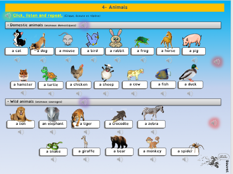 Les animaux Diaporamas audio Anglais CE2/Cycle 3
