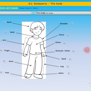 Parties du corps - Diaporamas audio Anglais - CE2/Cycle 3