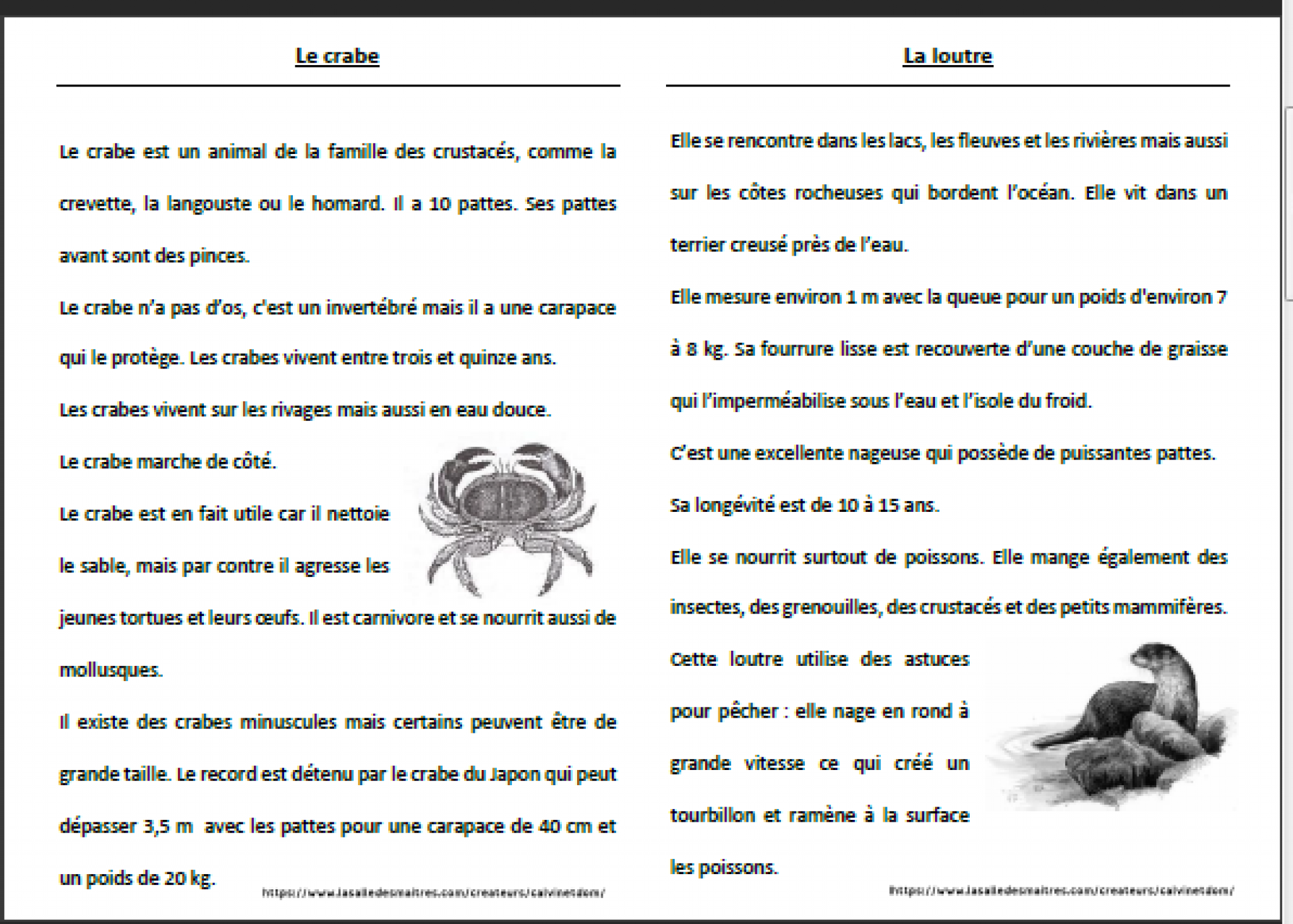 Texte Documentaire Cm1 + Questions Pdf Animaux
