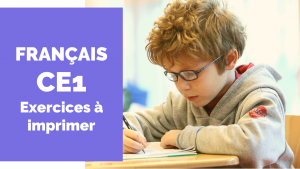 Exercices français CE1