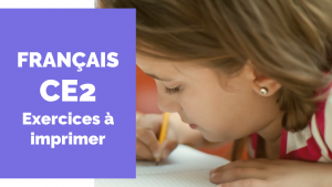 Exercices français CE2