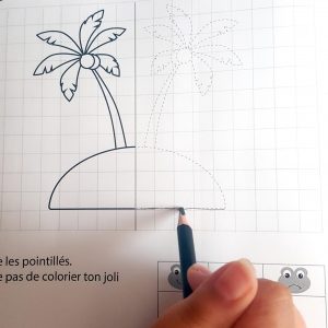 Mes Dessins par Symétrie de réflexion : Apprendre à tracer pour apprendre à dessiner