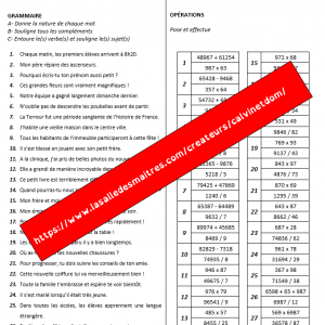 Activités ritualisées pour l'année - CM2