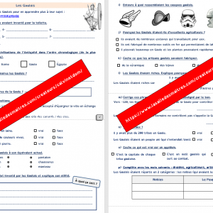 Questionnaire vidéo – C’est pas sorcier : Antiquité – Les Gaulois