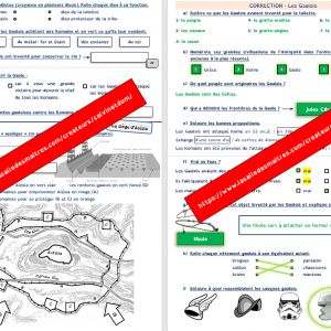 Questionnaire vidéo – C’est pas sorcier : Histoire Antiquité – Les Gaulois