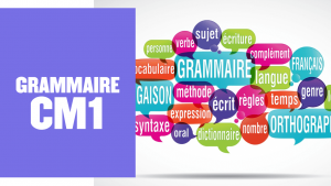 EXERCICES GRAMMAIRE CM1