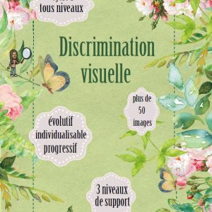 Discrimination visuelle