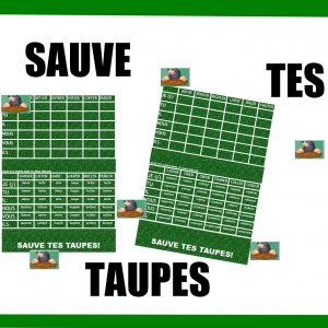 Sauve tes taupes! (verbes en ER au présent, futur et passé composé)