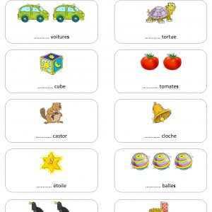 Grammaire – Le singulier & le pluriel des noms