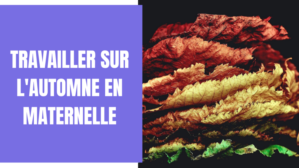 Travailler sur l'automne en maternelle