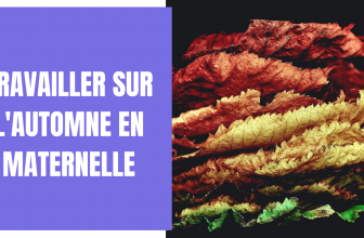 Travailler sur l'automne en maternelle