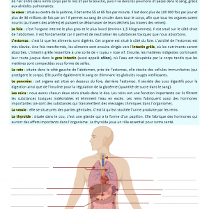 Exercice sur le corps humain : texte à lire et schéma à compléter