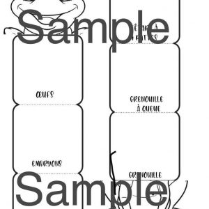 le cycle de vie de la grenouille et du crapaud commun lapbook