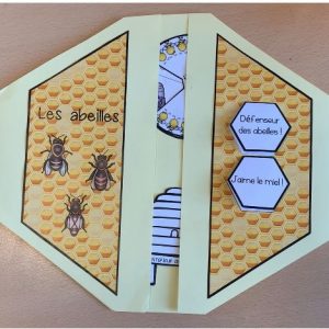 lapbook insecte cycle de vie abeille et utilité