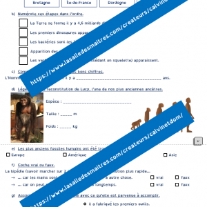 Questionnaire vidéo – C’est pas sorcier : Lucy, Neandertal, Cro-Magnon – Préhistoire