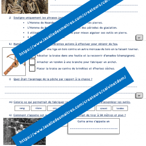 Questionnaire vidéo – C’est pas sorcier : Lucy, Neandertal, Cro-Magnon – Préhistoire