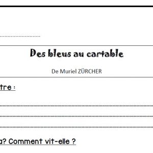 questionnaire des bleus au cartable