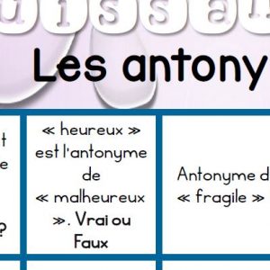 jeux sur antonymes