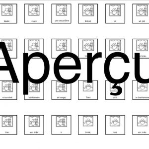 phrases dans l'ordre : bonhomme de neige