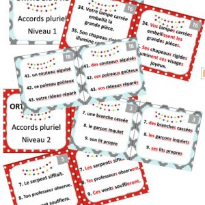 Pack cartes à tâches accords pluriel