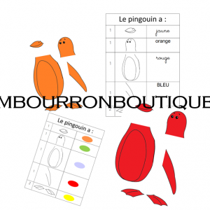 Les pingouins colorées