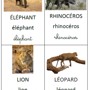 Imagier Les animaux de la savane