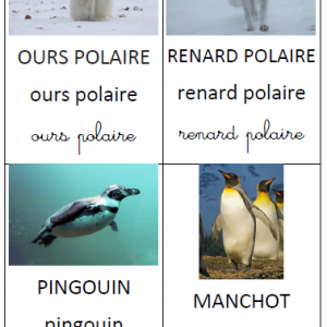 Imagier Les animaux polaires