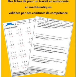Fiches ceintures de compétence en mathématiques
