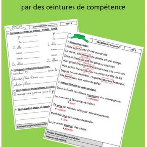 Fiches ceintures de compétence en français